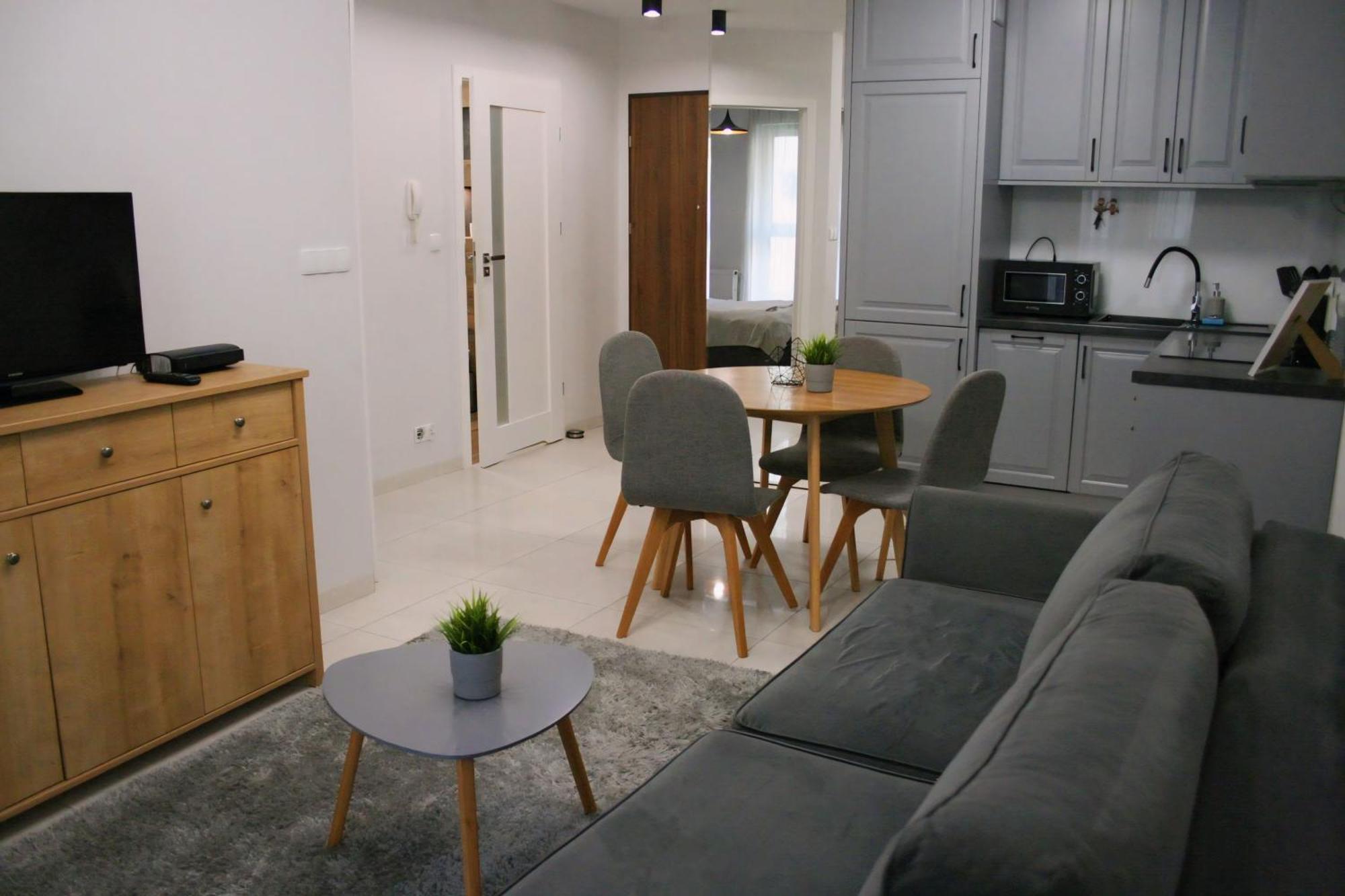 Apartament Argento Торунь Екстер'єр фото
